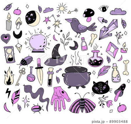 Set of magic, witchcraft and occult items for witches. Amulets and ritual objects, animals and birds, love potion and magic mushrooms, crystal and pendant. Vector illustration. Isolated elements 89903488