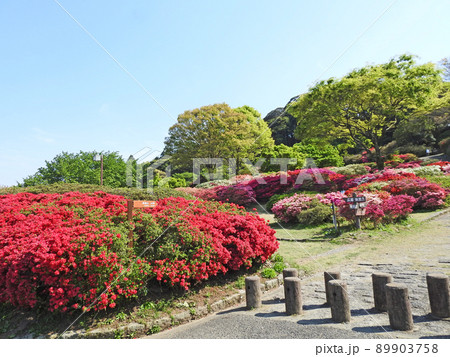 福岡県久留米市の人気観光スポット自然豊かな久留米森林つつじ公園 福岡県久留米市の人気観光スポット自然豊かな久留米森林つつじ公園 89903758