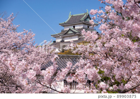 満開の桜と和歌山城天守閣 和歌山県和歌山市 満開の桜と和歌山城天守閣 和歌山県和歌山市 89903875