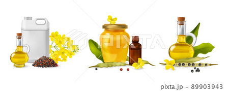 Realistic Rape Canola Icon Set Realistic Rape Canola Icon Set 89903943