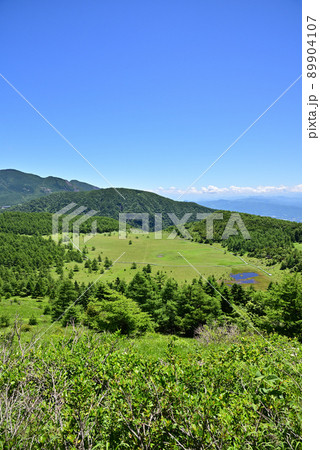 池の平湿原風景 89904107