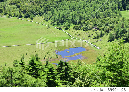 池の平湿原風景 89904108