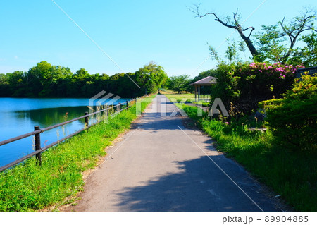 湖沿いの道 湖沿いの道 89904885