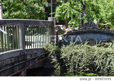 星合の池の愛嬌橋 89905099