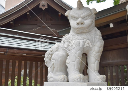 博多、櫛田神社の狛犬、阿吽の吽 博多、櫛田神社の狛犬、阿吽の吽 89905215