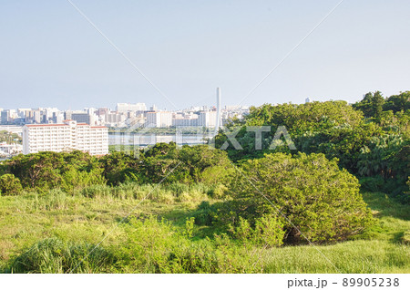 沖縄の風景 沖縄県庁 沖縄の風景 沖縄県庁 89905238