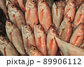 魚屋に並ぶ魚 89906112