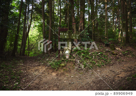 大阪府茨木市 竜王山の登山道 大阪府茨木市 竜王山の登山道 89906949