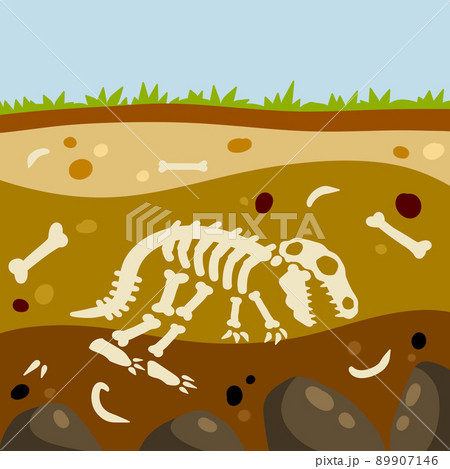 Dinosaur skeleton. Bones of a lizard. 89907146