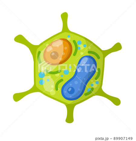 Green cell of the plant. Element of science Green cell of the plant. Element of science 89907149