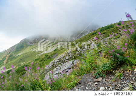 beautiful landscape in the mountains of Krasnaya Polyana beautiful landscape in the mountains of Krasnaya Polyana 89907167
