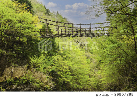 平家の遺産！祖谷のかずら橋 89907899