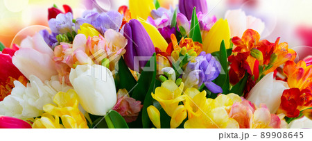 fresh tulips flowers 89908645