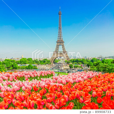 eiffel tour and from Trocadero, Paris 89908733