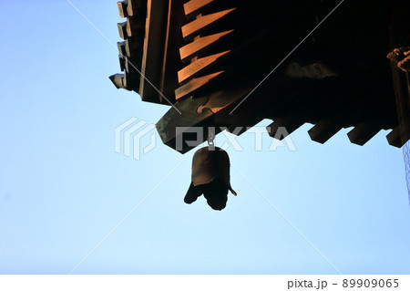 柴又帝釈天　 89909065