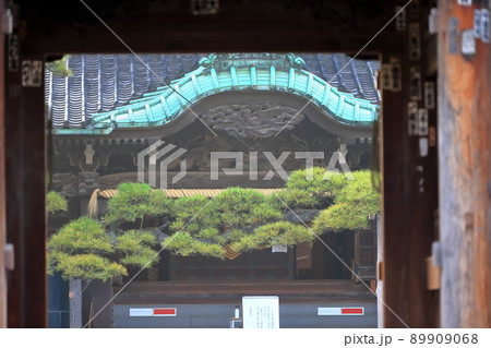 柴又帝釈天　 89909068