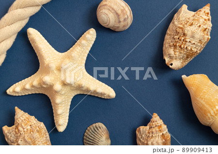 Starfish on a blue background, shells, stones on a blue background. The dream of the sea. 89909413