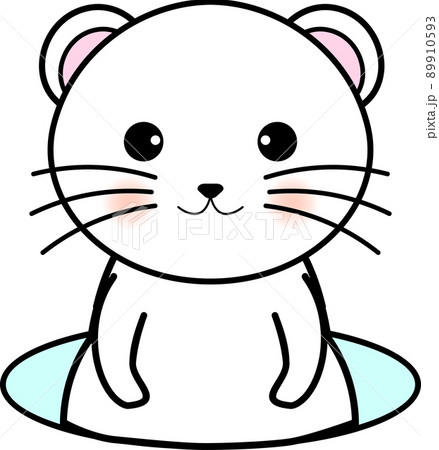 顔を出すオコジョ 顔を出すオコジョ 89910593