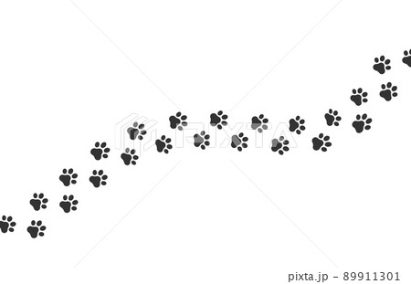 Dog footprint vector way. Cat footprint icon isolated pet silhouette path print Dog footprint vector way. Cat footprint icon isolated pet silhouette path print 89911301