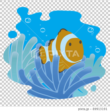 Clark's anemone hidden in anemones in the sea 89913191