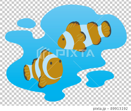Illustration of two anemone fish swimming 89913192