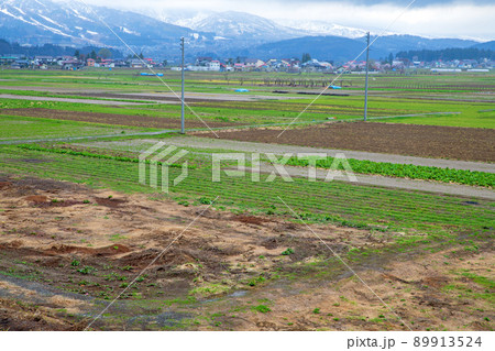 道の駅　花の駅千曲川付近の眺め　戸狩方向　田園風景　早春の季節 89913524