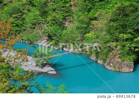 【静岡県】晴天下の寸又峡夢の吊り橋 89913678