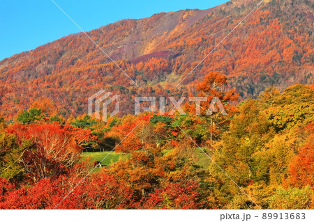 【山梨県】紅葉の八ヶ岳 89913683