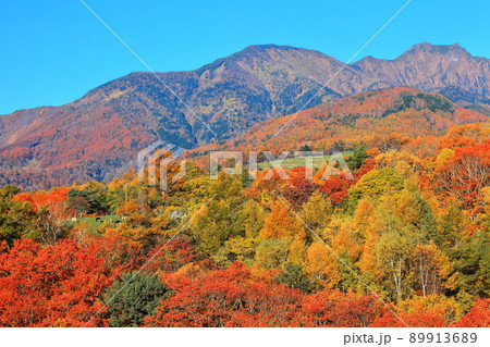 【山梨県】紅葉の八ヶ岳 89913689