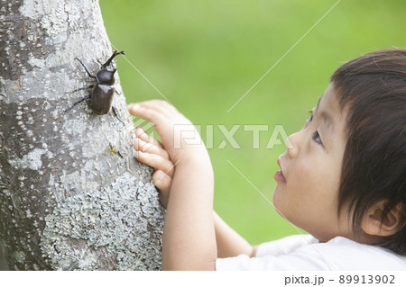 カブトムシを捕まえる男の子 カブトムシを捕まえる男の子 89913902