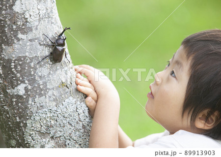 カブトムシを捕まえる男の子 カブトムシを捕まえる男の子 89913903