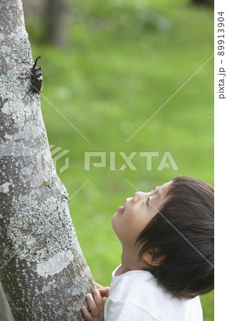 カブトムシを捕まえる男の子 カブトムシを捕まえる男の子 89913904