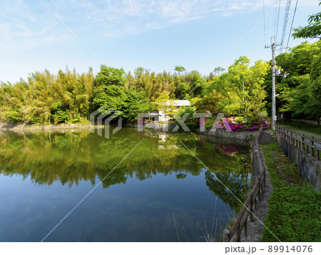 溜め池に映り込む風景 89914076
