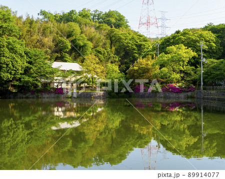 溜め池に映り込む風景 89914077