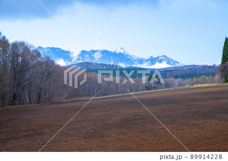 戸隠連峰　戸隠展望苑からの眺め　早春の風景 89914228