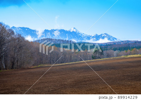 戸隠連峰　戸隠展望苑からの眺め　早春の風景 89914229