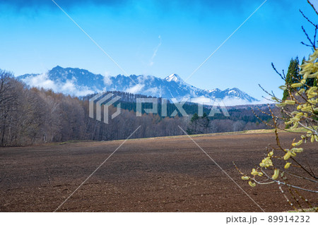 戸隠連峰　戸隠展望苑からの眺め　早春の風景 89914232