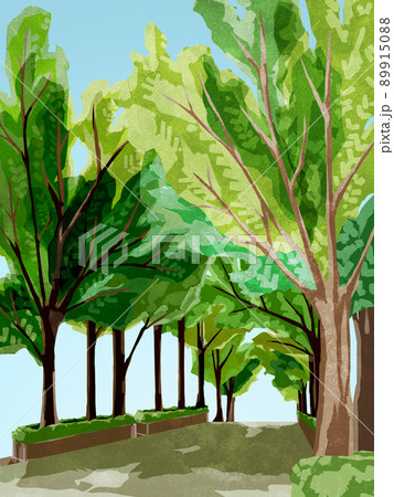 新緑の並木道の手描き水彩風イラストのイラスト素材 9150