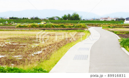 田植え前の田園風景 田植え前の田園風景 89916831
