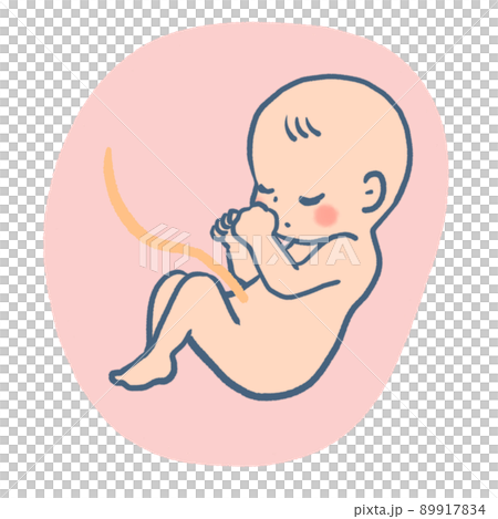 胎児のかわいいイラスト 89917834