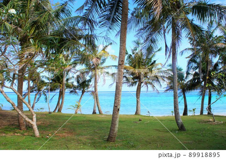 グアムのタモン湾の風景 グアムのタモン湾の風景 89918895
