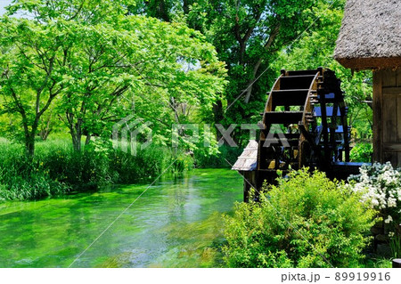 新緑映える安曇野の原風景 89919916