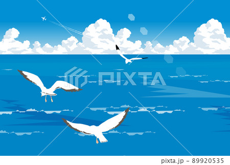 海原を飛ぶ海鳥の群れ 89920535