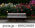 薔薇のある公園のベンチ 89920689