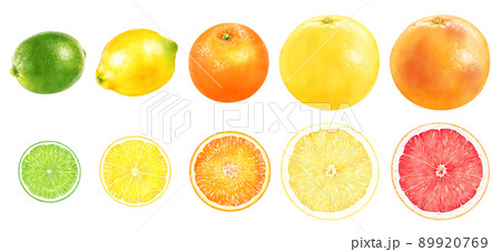 水彩イラスト 柑橘セット 水彩イラスト 柑橘セット 89920769