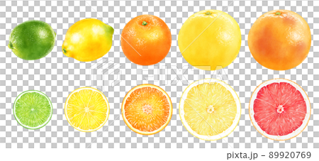 Watercolor illustration citrus set 89920769