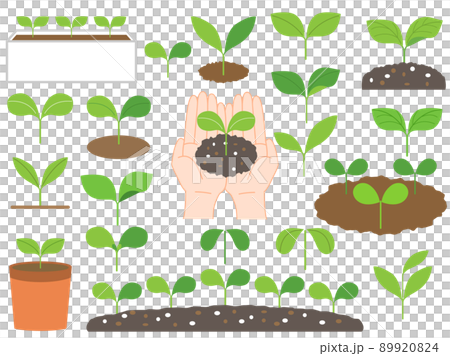 芽や萌芽や苗のイラストのセット 89920824
