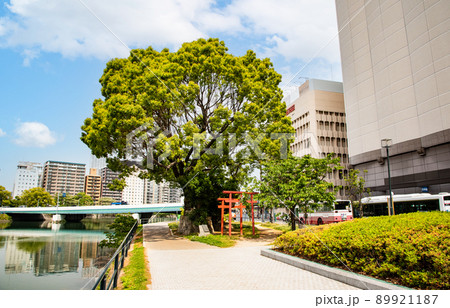 広島駅南側の公園です。小さな稲荷神社があります。歴史的に東照宮と関係があります。広島県 89921187