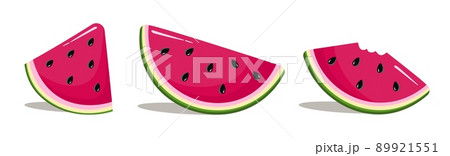 Watermelon slices set in cartoon style Summer Concept Vector illustration isolated on white background 89921551