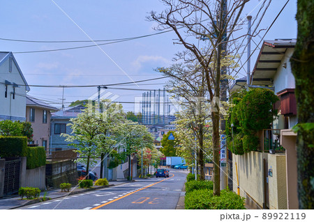 ハナミズキが咲く川崎市麻生区 王禅寺五差路交差点付近の上麻生2丁目と王禅寺西1丁目の境界を南側に見る 89922119